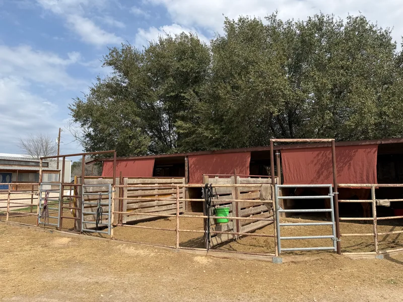 Paddocks with run-in shelters
