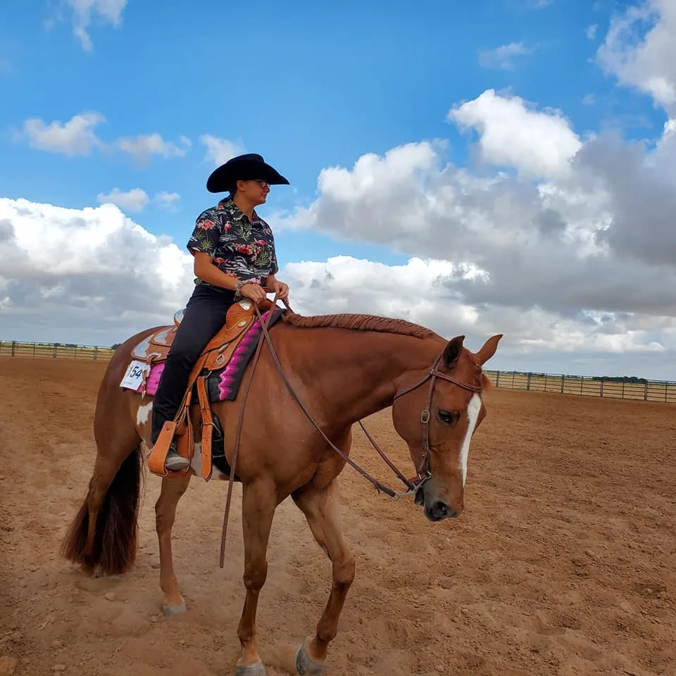 Rider on horseback in the arena at Success Performance Horses