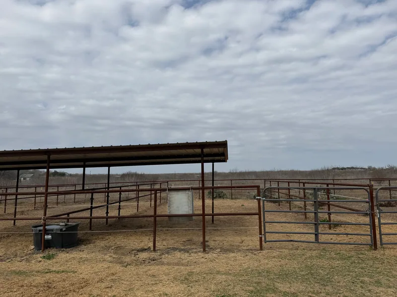 Covered stalls with sand runs