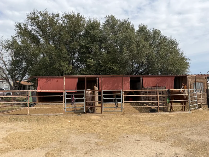 Show barn stalls